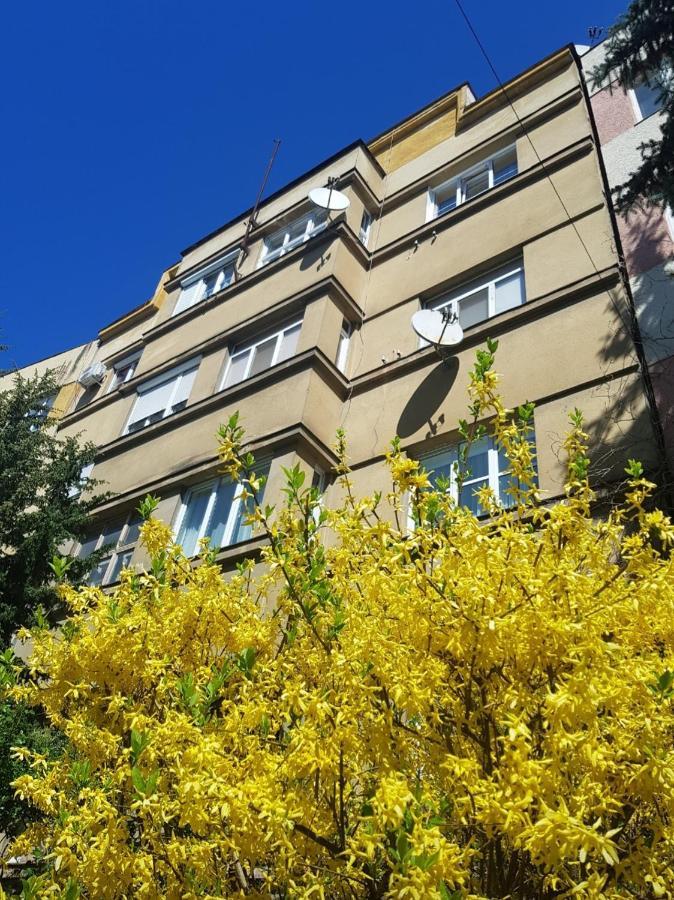 Затишні Смарт-Квартири В Історичному Центрі! Apartment Uzhhorod Exterior photo